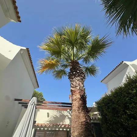 Sunshine - Pinheiros Altos *