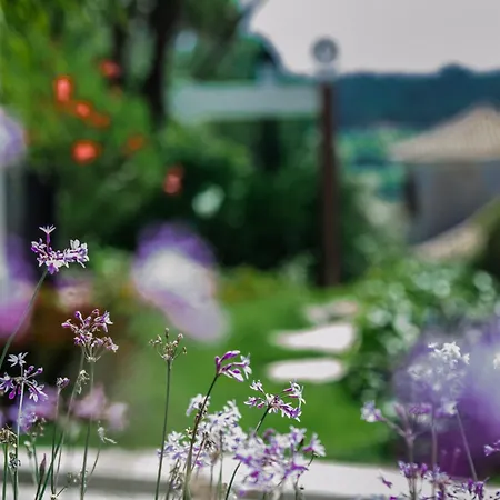 Dom wakacyjny Sunshine - Pinheiros Altos