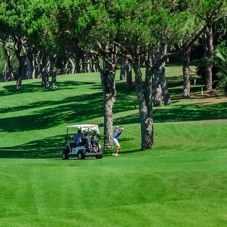Sunshine - Pinheiros Altos