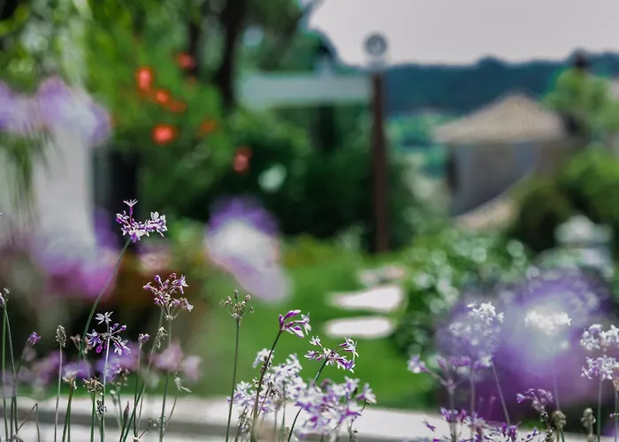 Σπίτι διακοπών Sunshine - Pinheiros Altos