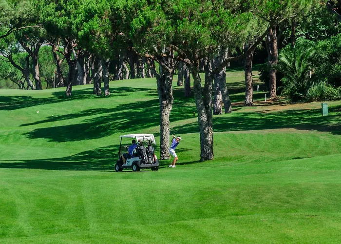 Sunshine - Pinheiros Altos